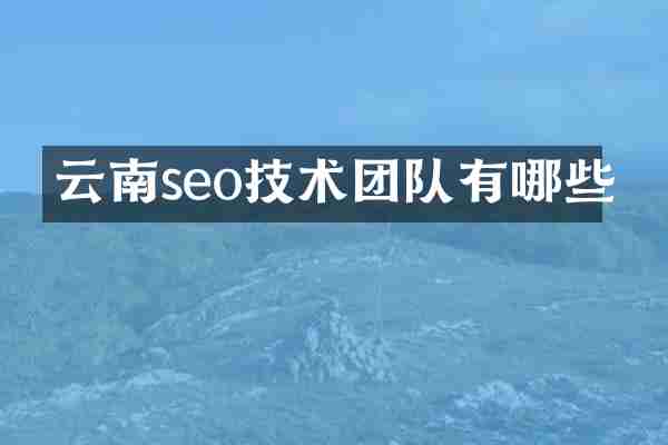 云南seo技术团队有哪些