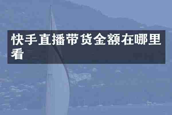 快手直播带货金额在哪里看