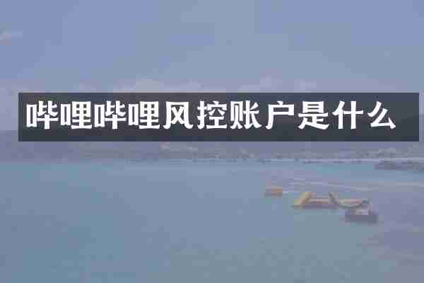 哔哩哔哩风控账户是什么