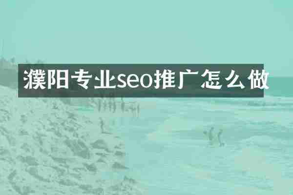 濮阳专业seo推广怎么做