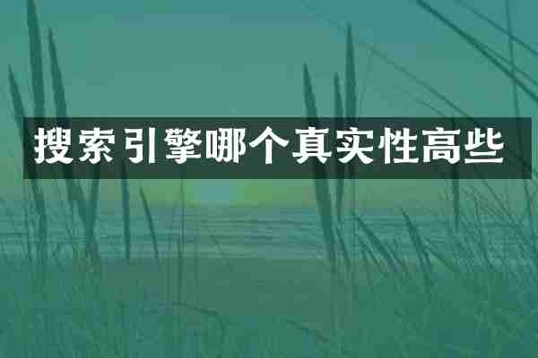 搜索引擎哪个真实性高些