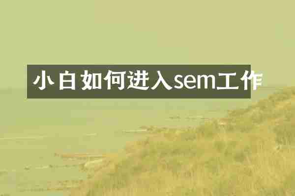 小白如何进入sem工作