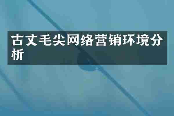 古丈毛尖网络营销环境分析