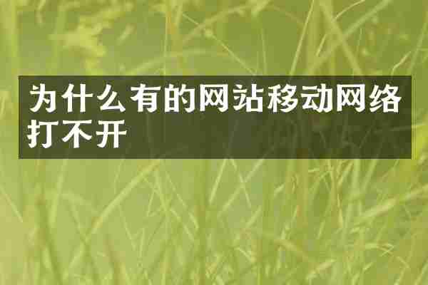 为什么有的网站移动网络打不开