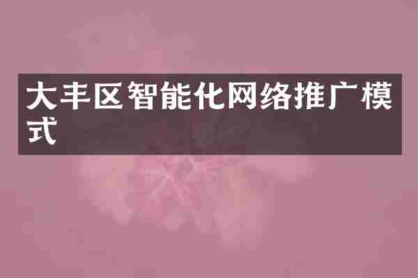 大丰区智能化网络推广模式