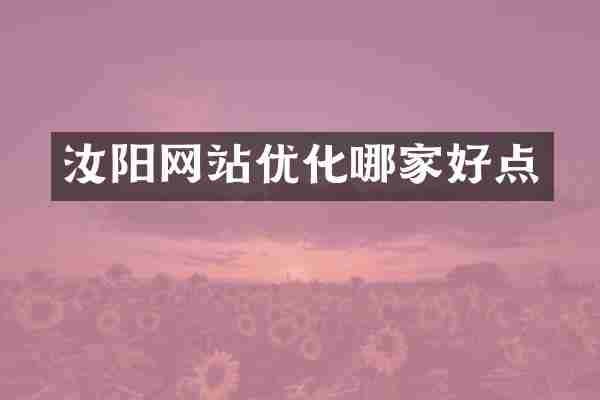 汝阳网站优化哪家好点