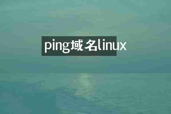 ping域名linux