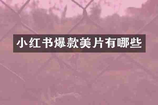 小红书爆款美片有哪些