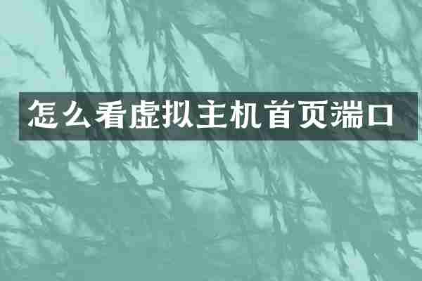 怎么看虚拟主机首页端口