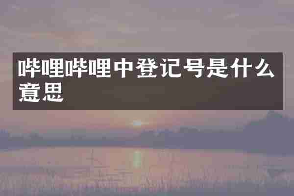 哔哩哔哩中登记号是什么意思