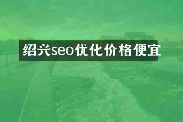绍兴seo优化价格便宜