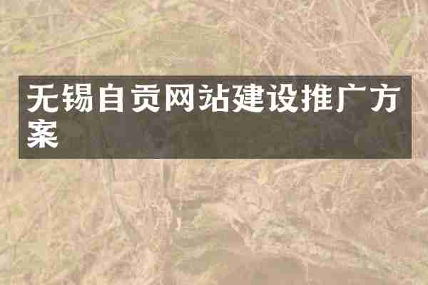 无锡自贡网站建设推广方案