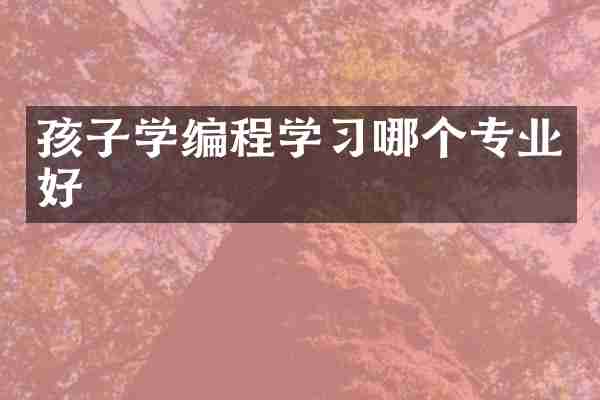 孩子学编程学习哪个专业好