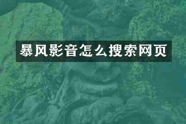 暴风影音怎么搜索网页