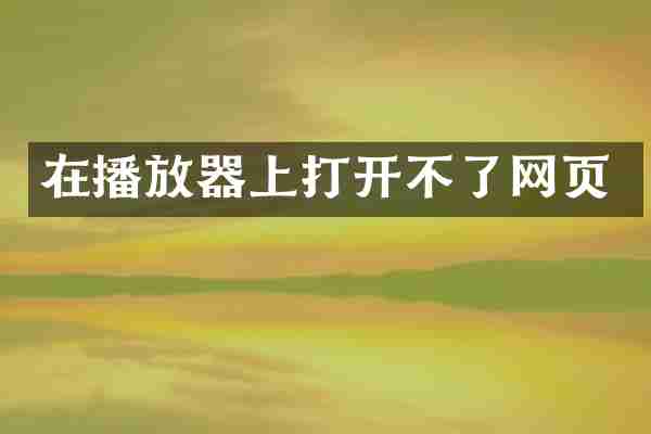 在播放器上打开不了网页