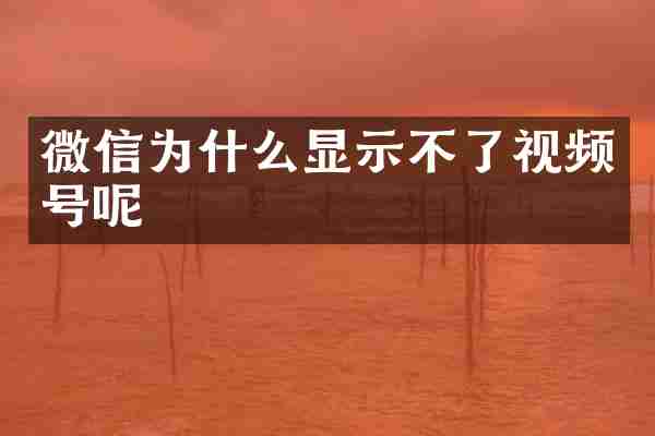 微信为什么显示不了视频号呢