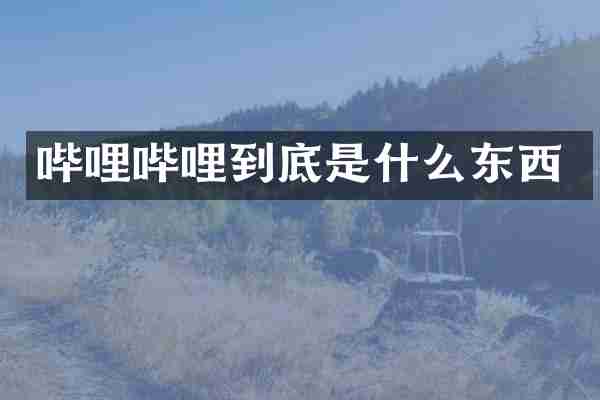 哔哩哔哩到底是什么东西