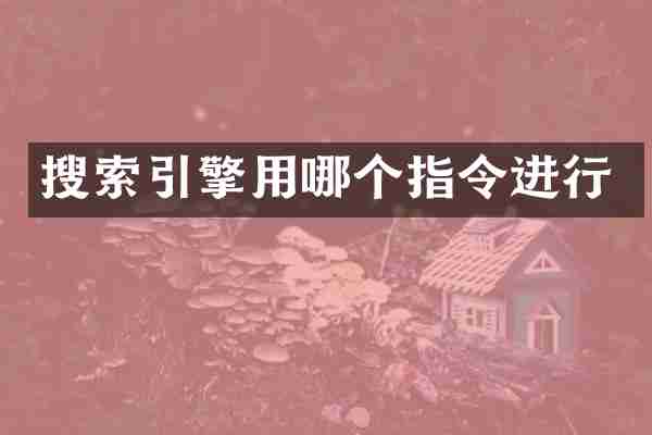 搜索引擎用哪个指令进行