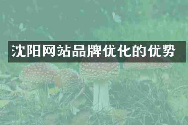 沈阳网站品牌优化的优势