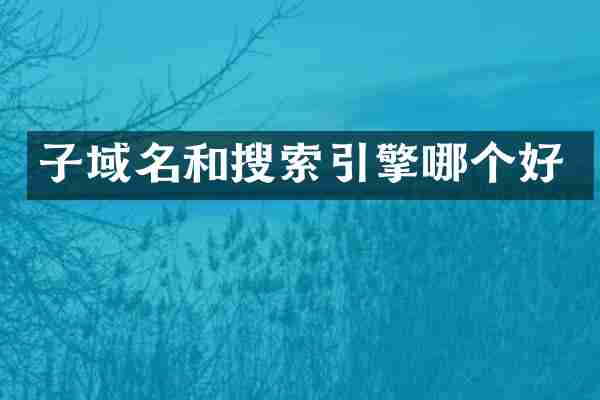 子域名和搜索引擎哪个好