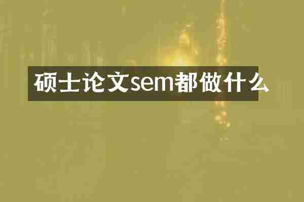 硕士论文sem都做什么