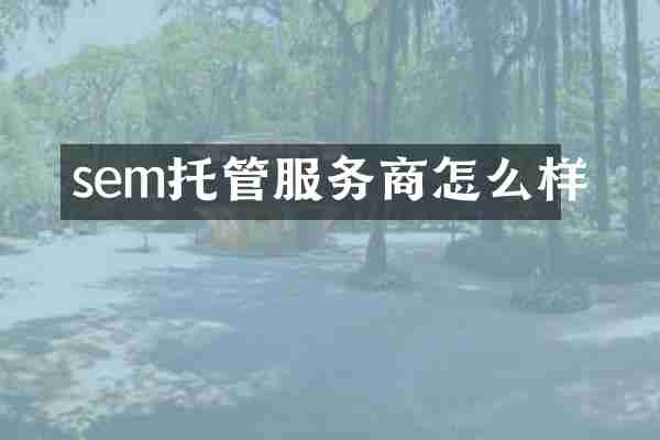 sem托管服务商怎么样