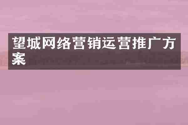 望城网络营销运营推广方案
