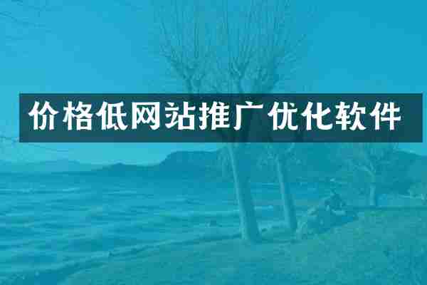 价格低网站推广优化软件
