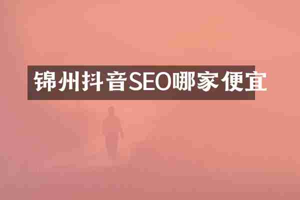 锦州抖音SEO哪家便宜