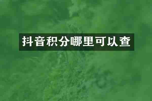 抖音积分哪里可以查