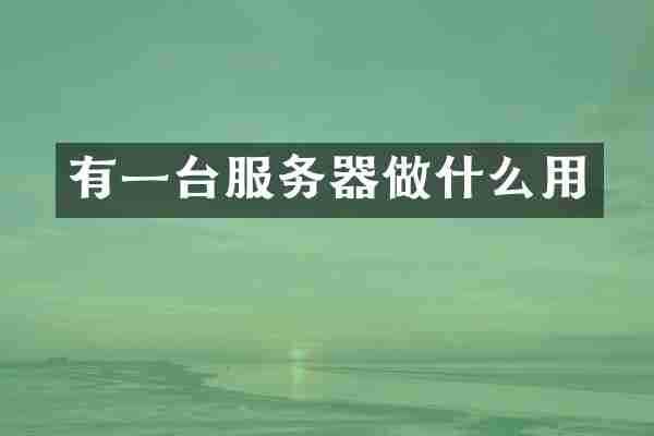 有一台服务器做什么用