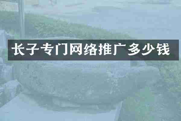 长子专门网络推广多少钱