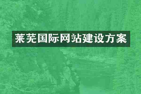 莱芜国际网站建设方案