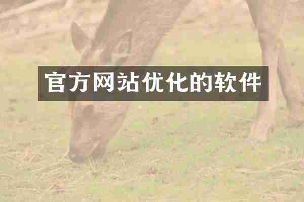 官方网站优化的软件