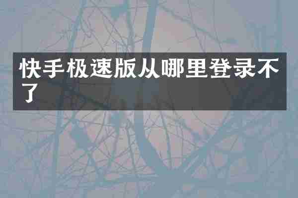 快手极速版从哪里登录不了