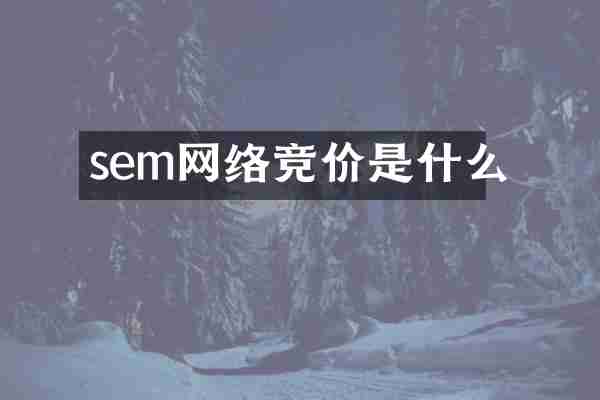 sem网络竞价是什么