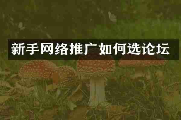 新手网络推广如何选论坛