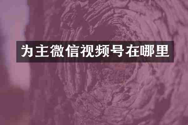 为主微信视频号在哪里