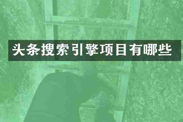 头条搜索引擎项目有哪些