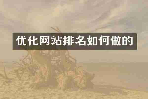 优化网站排名如何做的