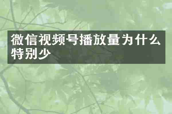 微信视频号播放量为什么特别少