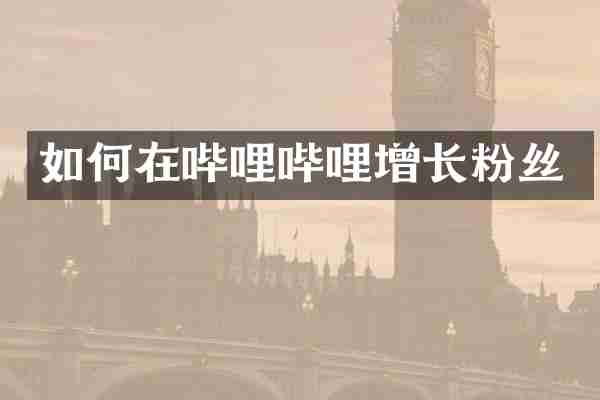 如何在哔哩哔哩增长粉丝