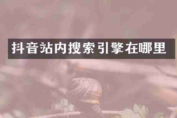 抖音站内搜索引擎在哪里