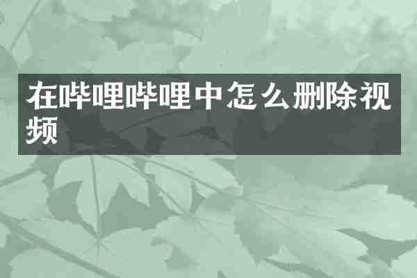 在哔哩哔哩中怎么删除视频