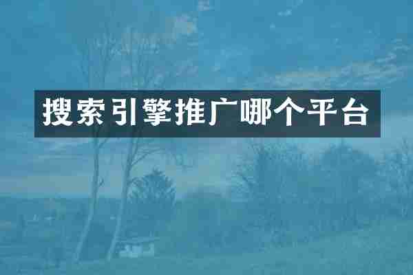 搜索引擎推广哪个平台