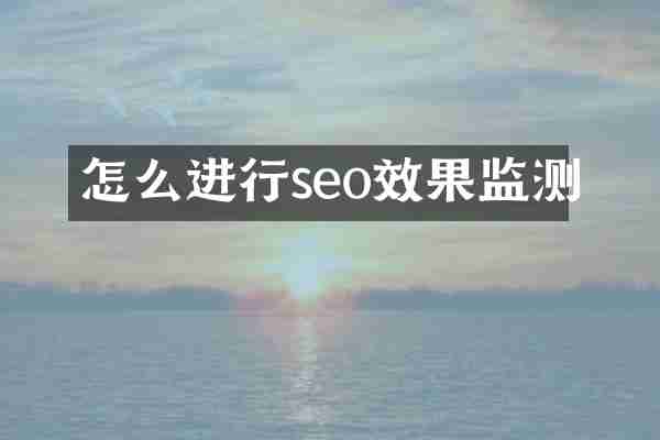 怎么进行seo效果监测