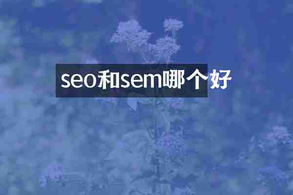 seo和sem哪个好