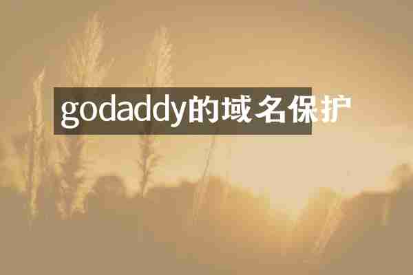 godaddy的域名保护