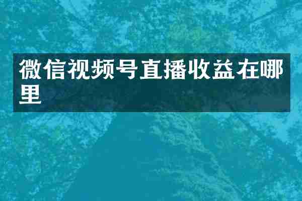 微信视频号直播收益在哪里