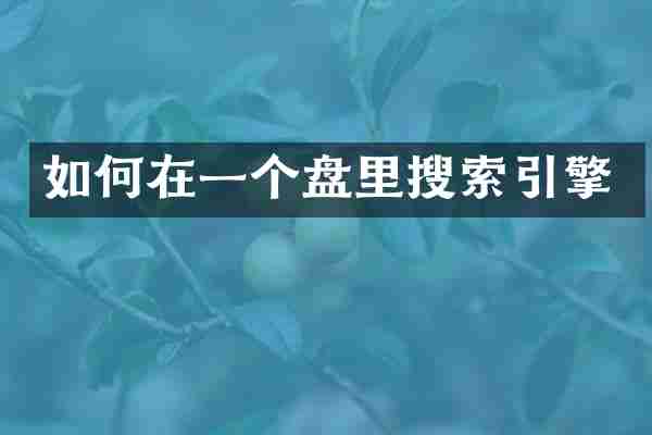 如何在一个盘里搜索引擎